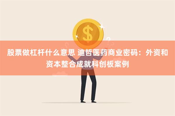 股票做杠杆什么意思 迪哲医药商业密码：外资和资本整合成就科创板案例