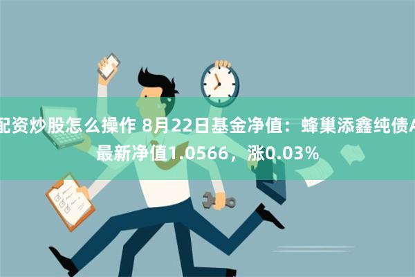 配资炒股怎么操作 8月22日基金净值：蜂巢添鑫纯债A最新净值1.0566，涨0.03%