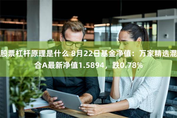 股票杠杆原理是什么 8月22日基金净值：万家精选混合A最新净值1.5894，跌0.78%