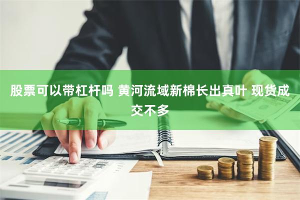 股票可以带杠杆吗 黄河流域新棉长出真叶 现货成交不多