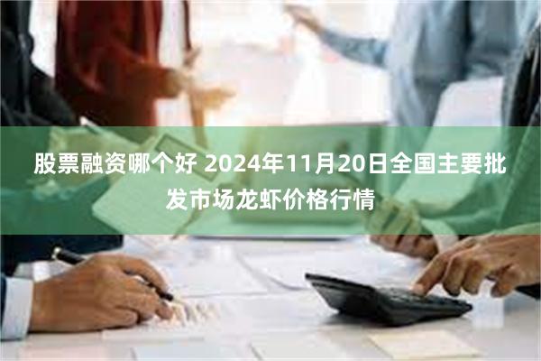 股票融资哪个好 2024年11月20日全国主要批发市场龙虾价格行情