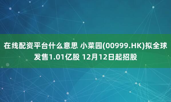 在线配资平台什么意思 小菜园(00999.HK)拟全球发售1.01亿股 12月12日起招股