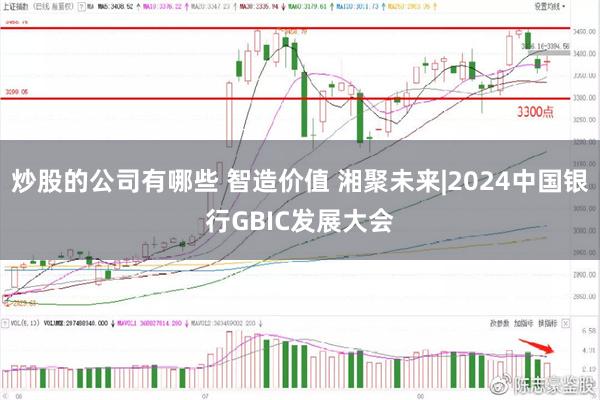 炒股的公司有哪些 智造价值 湘聚未来|2024中国银行GBIC发展大会