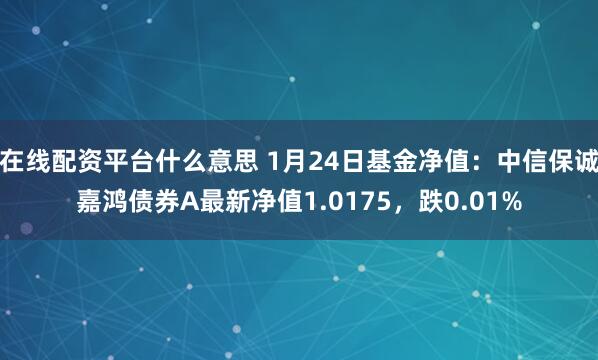 在线配资平台什么意思 1月24日基金净值：中信保诚嘉鸿债券A最新净值1.0175，跌0.01%