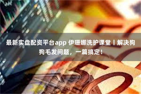 最新实盘配资平台app 伊珊娜洗护课堂丨解决狗狗毛发问题，一篇搞定！